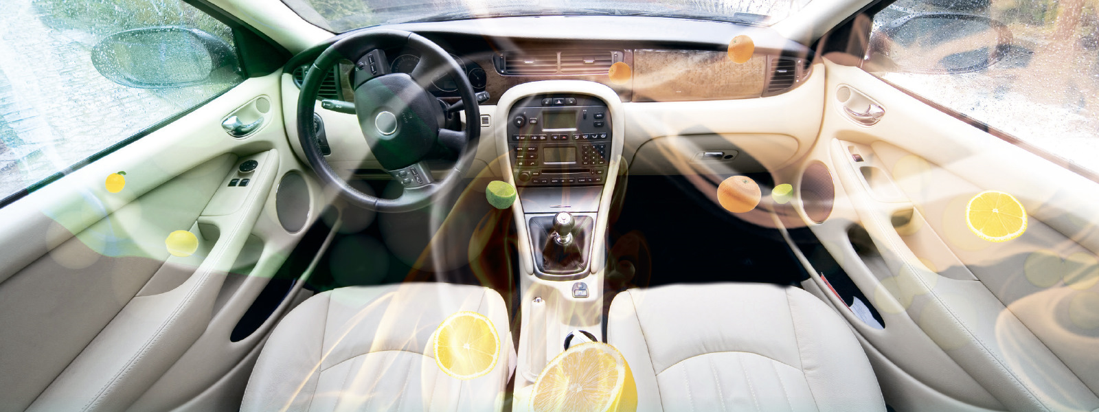 Как избавится от запаха в салоне автомобиля Как избавится от запаха в салоне автомобиля